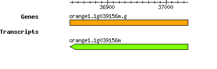 orange1.1g039156m.g.png