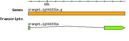 orange1.1g041831m.g.png