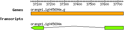orange1.1g045694m.g.png