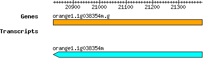 orange1.1g038354m.g.png