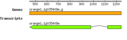 orange1.1g035408m.g.png