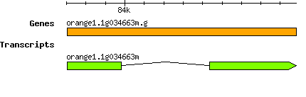 orange1.1g034663m.g.png