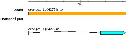 orange1.1g042724m.g.png