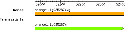 orange1.1g035287m.g.png