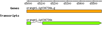 orange1.1g034734m.g.png