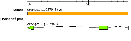 orange1.1g037948m.g.png