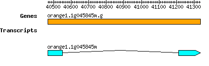 orange1.1g045845m.g.png