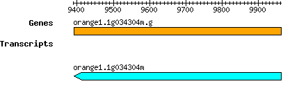 orange1.1g034304m.g.png