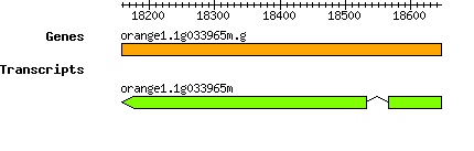 orange1.1g033965m.g.png