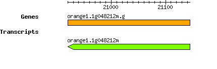 orange1.1g048212m.g.png