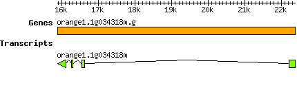 orange1.1g034318m.g.png