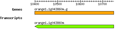 orange1.1g043860m.g.png