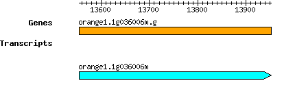orange1.1g036006m.g.png