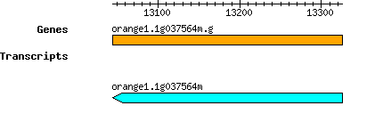 orange1.1g037564m.g.png