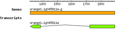 orange1.1g045811m.g.png