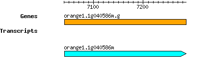 orange1.1g040586m.g.png