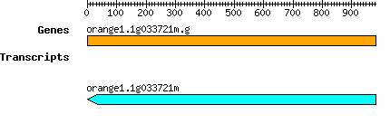 orange1.1g033721m.g.png