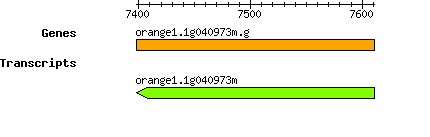 orange1.1g040973m.g.png