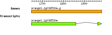 orange1.1g036530m.g.png