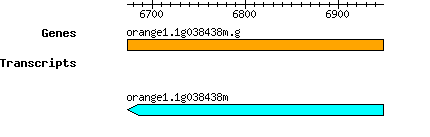 orange1.1g038438m.g.png