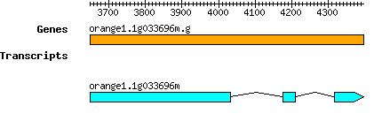 orange1.1g033696m.g.png
