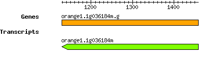 orange1.1g036184m.g.png
