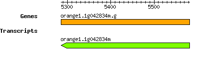 orange1.1g042834m.g.png