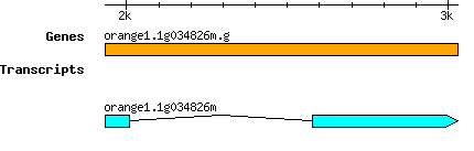 orange1.1g034826m.g.png