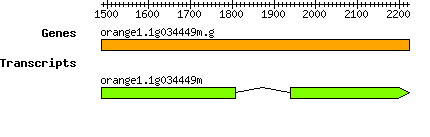 orange1.1g034449m.g.png