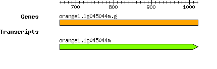 orange1.1g045044m.g.png