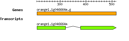 orange1.1g046664m.g.png