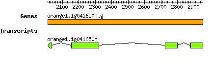 orange1.1g041650m.g.png