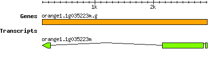orange1.1g035223m.g.png