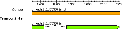 orange1.1g033872m.g.png