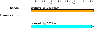 orange1.1g038334m.g.png