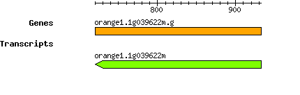 orange1.1g039622m.g.png