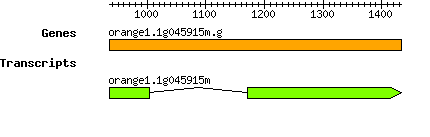 orange1.1g045915m.g.png