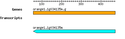 orange1.1g034135m.g.png