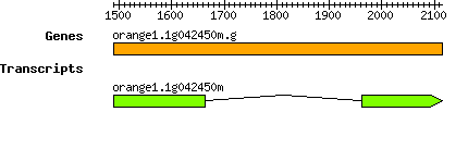 orange1.1g042450m.g.png