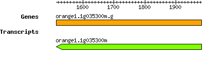 orange1.1g035300m.g.png