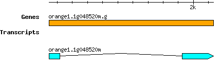 orange1.1g048520m.g.png