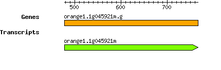 orange1.1g045921m.g.png
