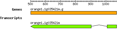 orange1.1g035421m.g.png