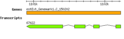 CsubellipsoideaC169_estExt_Genemark1.C_150202.png