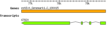 CsubellipsoideaC169_estExt_Genemark1.C_190015.png