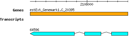 CsubellipsoideaC169_estExt_Genemark1.C_20395.png