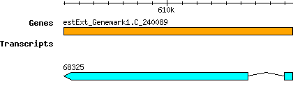 CsubellipsoideaC169_estExt_Genemark1.C_240089.png