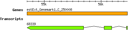 CsubellipsoideaC169_estExt_Genemark1.C_250008.png