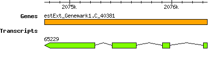 CsubellipsoideaC169_estExt_Genemark1.C_40381.png