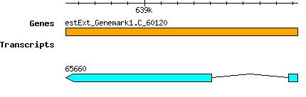 CsubellipsoideaC169_estExt_Genemark1.C_60120.png